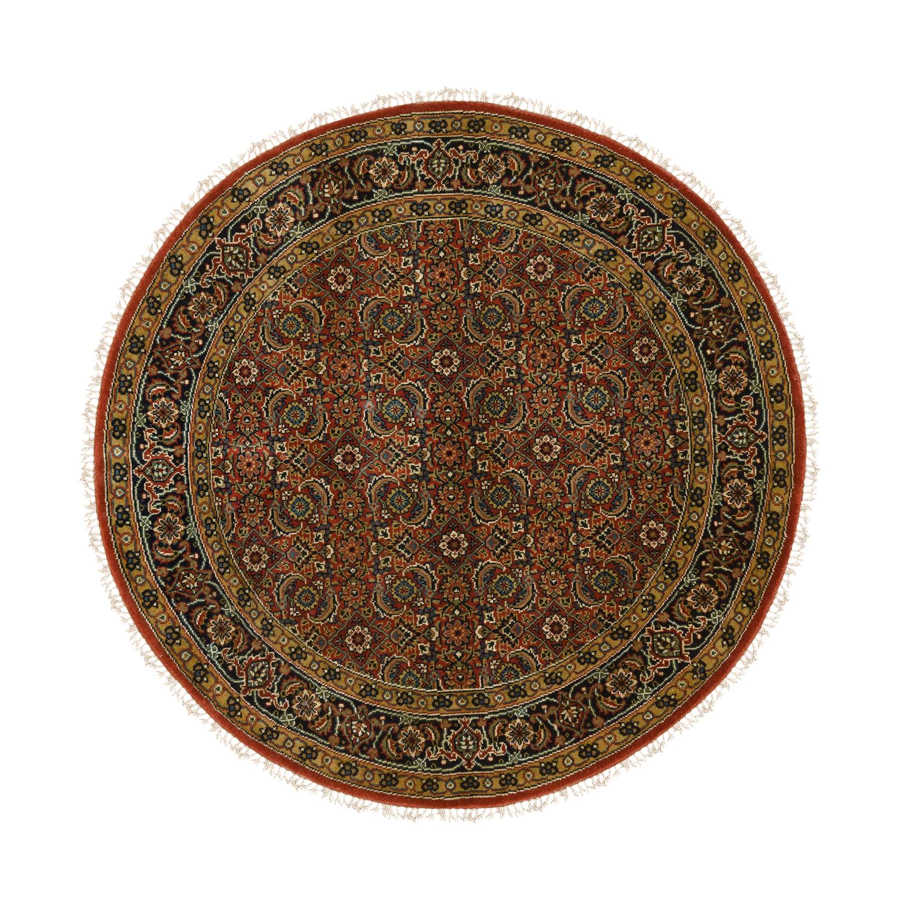 Traditional Rugs LUV571788